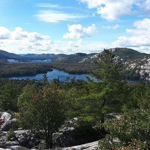 Meet your Posher, Stevie